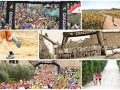 EcoChianti2014(0)