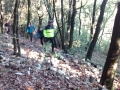 IMG_20141228_093557108