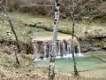IMG_20150111_090135680_HDR