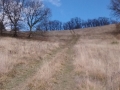 IMG_20150115_144319851