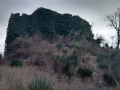 IMG_20150115_161656992_HDR