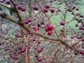 20140209_111853