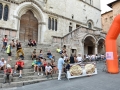 UAB_7379