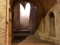 UAB_7436
