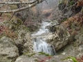 IMG_20160109_121006032