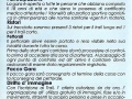 Montecoronaro13b