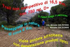 Trail Montelabate 2013
